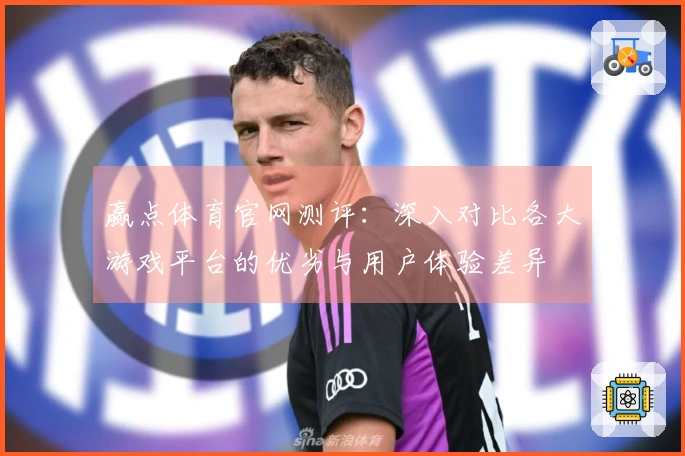 赢点体育官网测评：深入对比各大游戏平台的优劣与用户体验差异