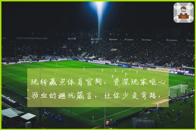 玩转赢点体育官网，资深玩家呕心沥血的避坑箴言，让你少走弯路，收益最大化