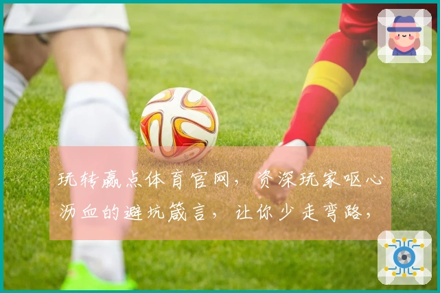 玩转赢点体育官网，资深玩家呕心沥血的避坑箴言，让你少走弯路，收益最大化