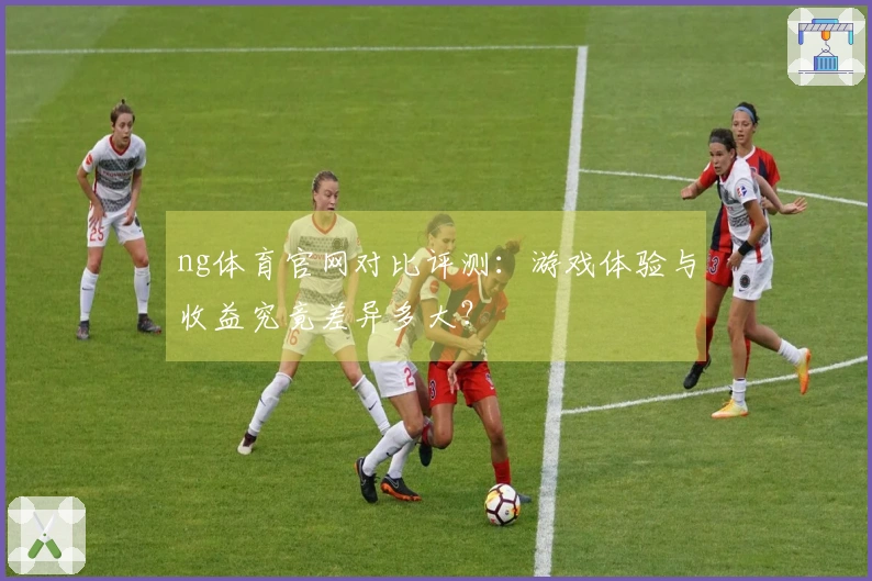 ng体育官网对比评测：游戏体验与收益究竟差异多大？