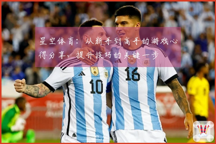 星空体育：从新手到高手的游戏心得分享，提升技巧的关键一步